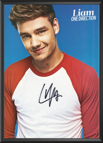 One Direction / Liam - Signed Music Print